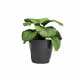Artevasi Pot de fleur SAN REMO Anthracite brillant Rond 36 cm