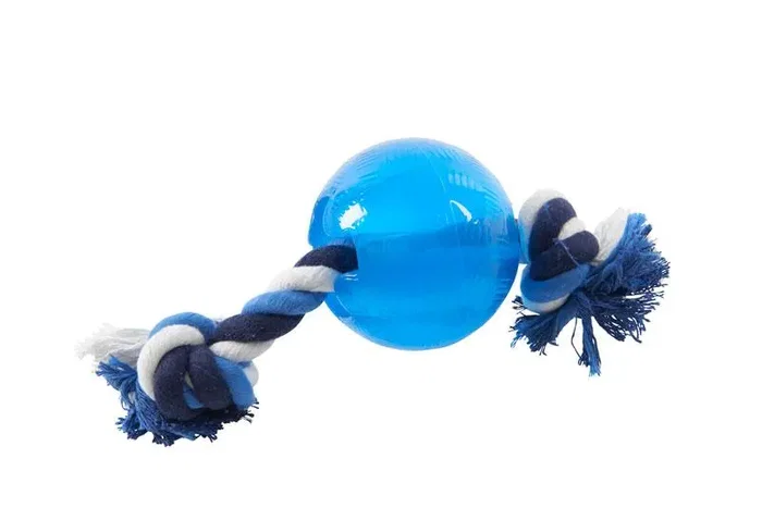 Kruuse BUSTER Juguete Perro Pelota Strong avec corde L 24cm Bleu Kruuse BUSTER Juguete Perro Pelota Strong avec corde L 24cm Bleu