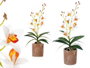 Ibergarden Macera Terracota Blanc et Orange 10x50x25 cm Tissu Plastique Métal Ciment (Set de 6)