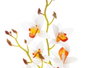 Ibergarden Macera Terracota Blanc et Orange 10x50x25 cm Tissu Plastique Métal Ciment (Set de 6)