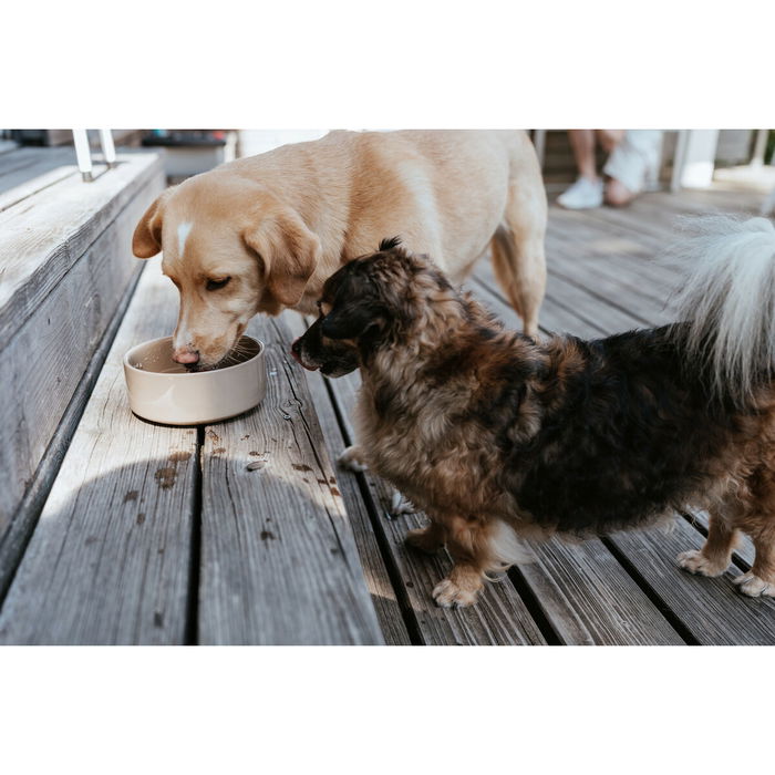 Mangeoire pour chiens Hunter OSBY Beige Céramique 1,1 L