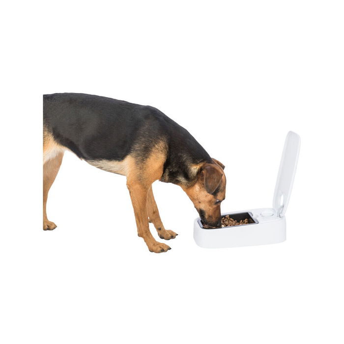 Mangeoir pour animaux Trixie Blanc Noir Plastique 300 ml