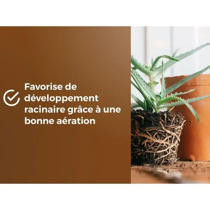 Or Brun Terreau Universel pour Rempotage OBRTREM6U 6L - Améliore la Croissance des Plantes - Favorise le Développement Racinaire