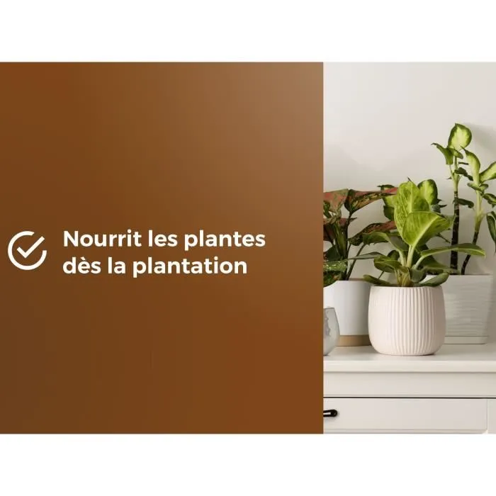 Or Brun Terreau Universel pour Rempotage OBRTREM6U 6L - Améliore la Croissance des Plantes - Favorise le Développement Racinaire