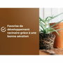 Or Brun Terreau de rempotage universel 6 L