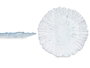 VIVALTO Plat bas bleu 32 cm en cristal, lot de 12