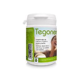 TEGOR TEGONER (TEGONERVEN) 120 comprimés