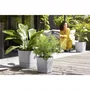 ELHO Pot de fleurs Carré Greensense Aqua Care Ø 29,5 x H 30,2 cm - 15 L - Vert Jungle