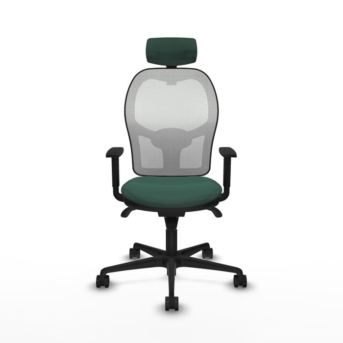 Piqueras y Crespo Chaise de Bureau Jorquera - Vert Bouteille et Blanc