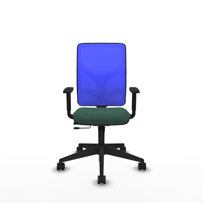 PIQUERAS Y CRESPO Chaise Motilla Synchrone/Traslack Vert foncé et Bleu