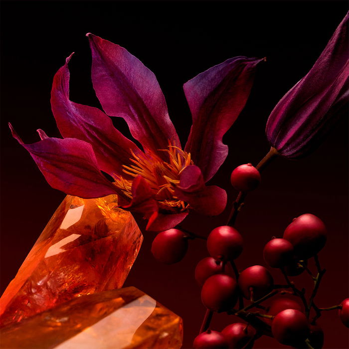 Hugo Boss-Boss LE PARFUM ELIXIR POUR ELLE Eau de Parfum Vaporisateur 50 ml