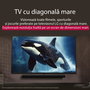 LG TV UHD AI 43UA73003LA - Téléviseur Intelligent 4K UHD 43 Pouces avec Processeur IA