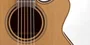 Takamine P3NC Guitare électroacoustique NEX avec cutaway