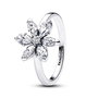 Bague Femme Pandora 193000C02-56 Argenté 16