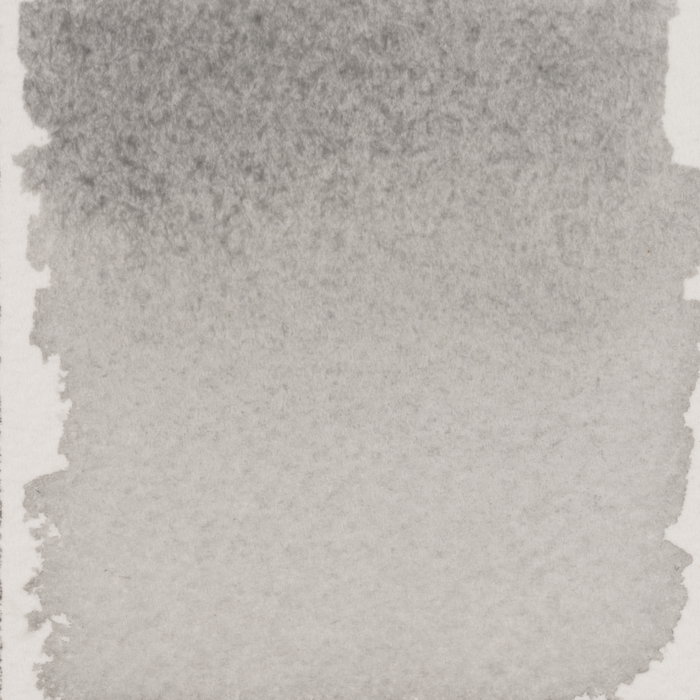 Talens | Pantone Encre pour marqueur Cool Gray 1, 30 ml