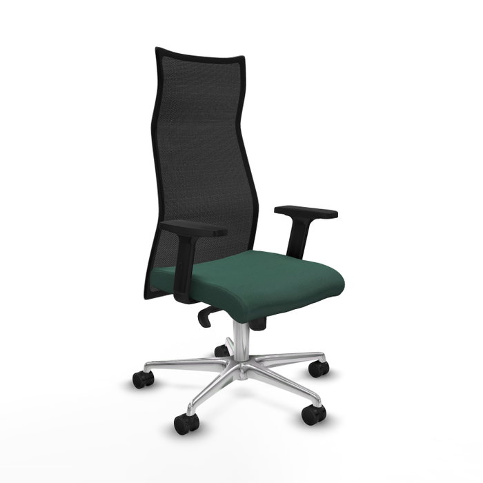 Piqueras y Crespo Chaise de Bureau Albacete, Vert Bouteille et Noir Piqueras y Crespo Chaise de Bureau Albacete, Vert Bouteille et Noir
