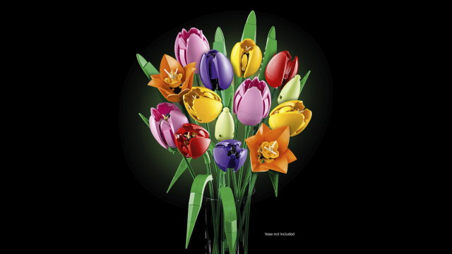 LEGO Botanicals Ramo de Tulipes 11501, Set de Construction pour Adultes de 576 pièces LEGO Botanicals Ramo de Tulipes 11501, Set de Construction pour Adultes de 576 pièces