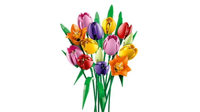 LEGO Botanicals Ramo de Tulipes 11501, Set de Construction pour Adultes de 576 pièces LEGO Botanicals Ramo de Tulipes 11501, Set de Construction pour Adultes de 576 pièces