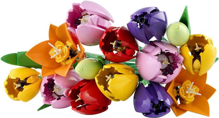 LEGO Botanicals Ramo de Tulipanes 11501