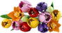 LEGO Botanicals Ramo de Tulipanes 11501