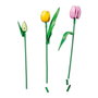 LEGO Botanicals Ramo de Tulipanes 11501