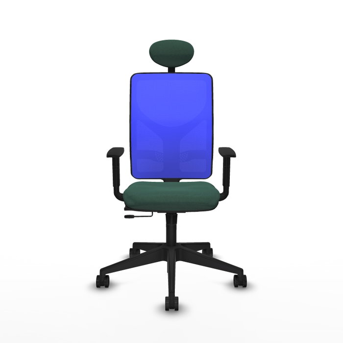 Piqueras Y Crespo Chaise de bureau Motilla, assise vert bouteille et dossier bleu