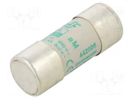 DF ELECTRIC Fusible industriel en céramique 6A 22x58mm aM
