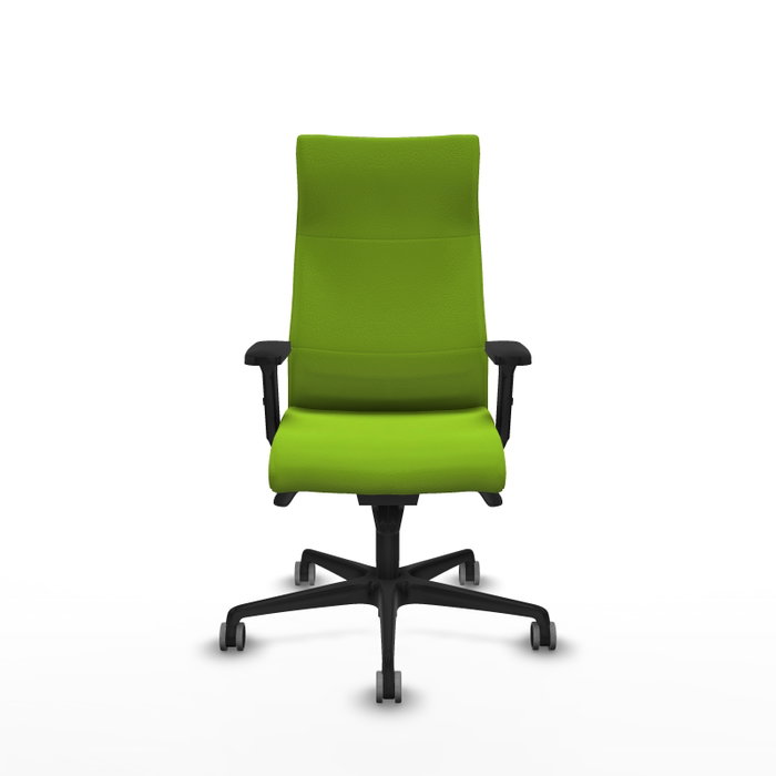 Piqueras Y Crespo Sillón Albacete, mécanisme Sincro, Pistacho