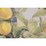 Home ESPRIT Toile Jaune Bleu méditerranéen 100 x 3 x 70 cm (2 Unités)