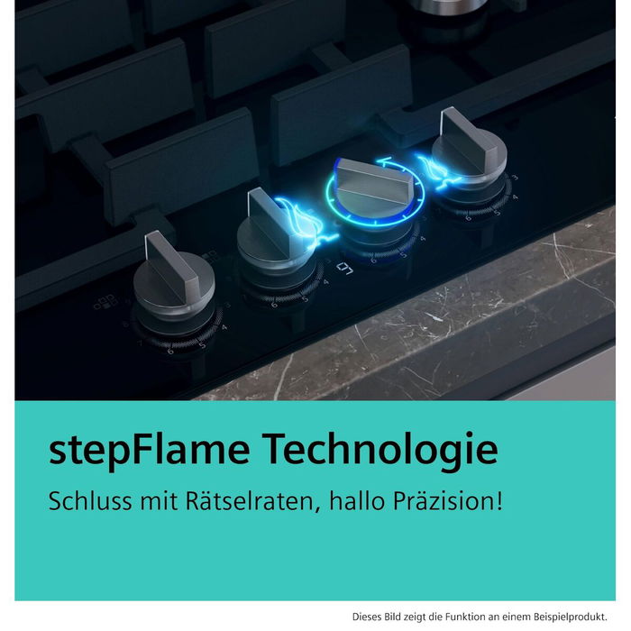 Plaque au gaz Siemens ER9A6SH40