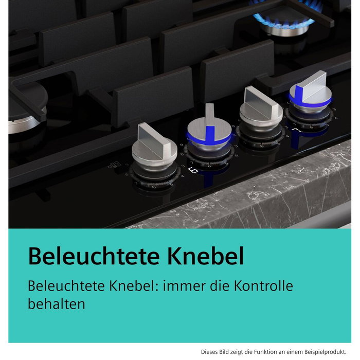 Plaque au gaz Siemens ER9A6SH40