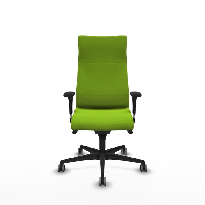 Piqueras Y Crespo Fauteuil Albacete Pistache avec mécanisme Synchro et accoudoirs 1D