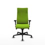 Piqueras Y Crespo Fauteuil Albacete Pistache avec mécanisme Synchro et accoudoirs 1D