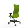 Piqueras Y Crespo Fauteuil Albacete Pistache avec mécanisme Synchro et accoudoirs 1D