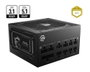 MSI MAG A750GL Alimentation PC 750W 80+ Gold Modulaire Noir ATX 3.1