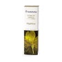Esential Aroms Extrait Lipidique d'Hypérique 100ml