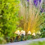 Lumisky Champy - Lot de 10 Mini-Champignons Solaires Lumineux à Piquer, Balisage d'Allée, LED Blanc Chaud, Cordon 3.8 m