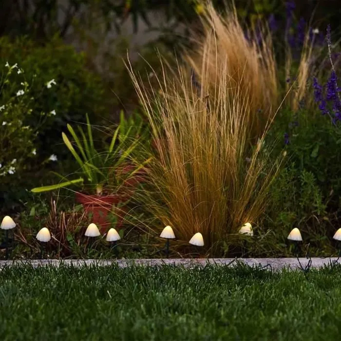 Lumisky Champy - Lot de 10 Mini-Champignons Solaires Lumineux à Piquer, Balisage d'Allée, LED Blanc Chaud, Cordon 3.8 m