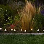 Lumisky Champy - Lot de 10 Mini-Champignons Solaires Lumineux à Piquer, Balisage d'Allée, LED Blanc Chaud, Cordon 3.8 m