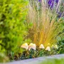 Lumisky Champy - Lot de 10 Mini-Champignons Solaires Lumineux à Piquer, Balisage d'Allée, LED Blanc Chaud, Cordon 3.8 m