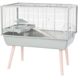 ZOLUX NÉOLIFE Cage surélevée pour hamster avec échelle, roue et accessoires - 78 x 48 x 75 cm - Vert - Fabriqué en Europe