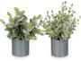 IBERGARDEN Lot de 36 Pots Cylindriques Verts