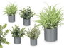 IBERGARDEN Lot de 36 Pots Cylindriques Verts