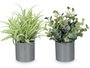 IBERGARDEN Lot de 36 Pots Cylindriques Verts