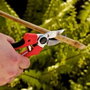 Felco 171m-a Sécateur à enclume pour main moyenne, capacité 20 mm