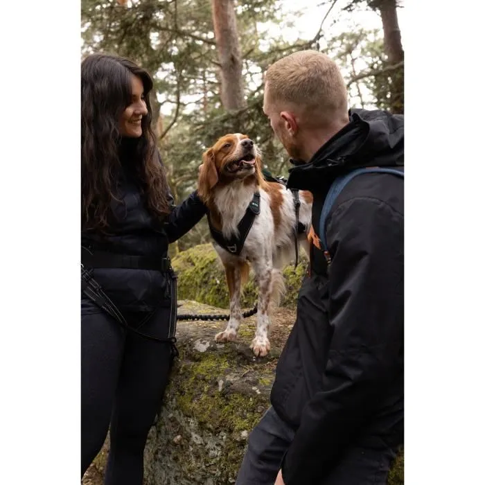 Cani C Gear SYMBIOZ - Harnais pour chien ajustable, Noir Bleu, Taille XXS - Pour activités quotidiennes et sportives Cani C Gear SYMBIOZ - Harnais pour chien ajustable, Noir Bleu, Taille XXS - Pour activités quotidiennes et sportives