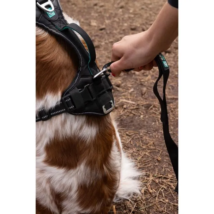 Cani C Gear SYMBIOZ - Harnais pour chien ajustable, Noir Bleu, Taille XXS - Pour activités quotidiennes et sportives Cani C Gear SYMBIOZ - Harnais pour chien ajustable, Noir Bleu, Taille XXS - Pour activités quotidiennes et sportives