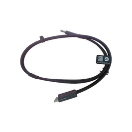HP Câble combo Thunderbolt 0,7 m