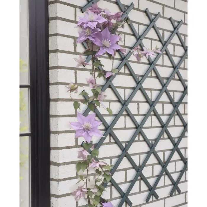 Nature Treillis extensible Anthracite 100 x 200 cm Nature Treillis extensible Anthracite 100 x 200 cm