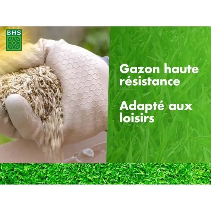 BHS Semences de gazon haute résistance 10 kg - Usage intensif pour jeux et jardin - Engrais organique